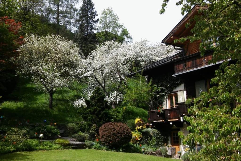 Alpenrelax Haus Weidmannsheil Wohnen Im Romantischen Forsthaus Werfen Exterior photo