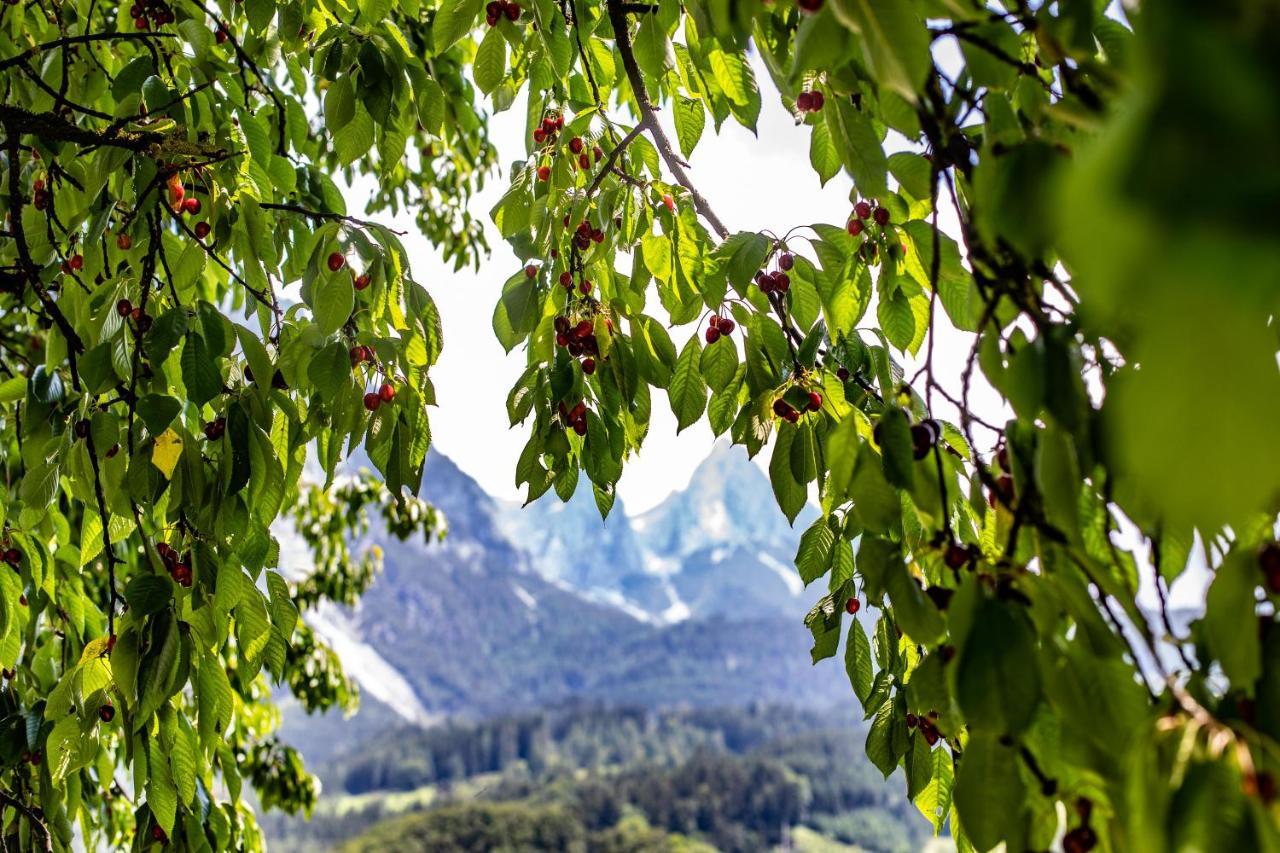 Alpenrelax Haus Weidmannsheil Wohnen Im Romantischen Forsthaus Werfen Exterior photo