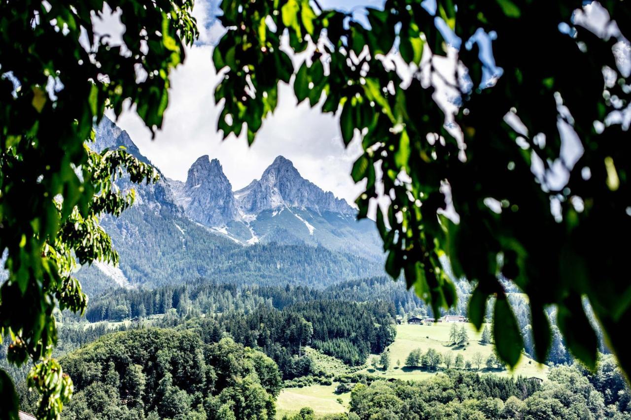 Alpenrelax Haus Weidmannsheil Wohnen Im Romantischen Forsthaus Werfen Exterior photo